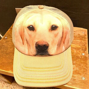 The Mountain Dog Print Hat Cap Breathable Adjustable Size Unisex Adult